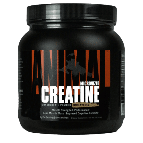 Animal Micronized Creatine (500g) - Fipht